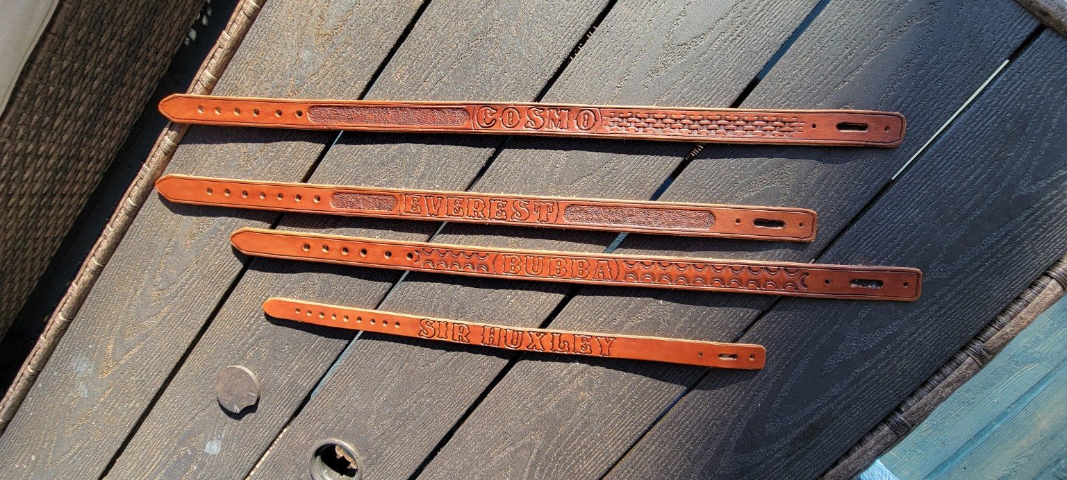 Custom tooled dog collars